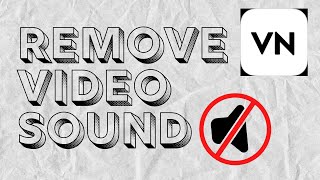 How to Remove Original Video Sound in VN Apps