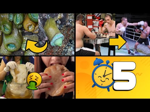 25 Things You DIDN'T Know 5 Minutes Ago!! ⏰😲 [3]