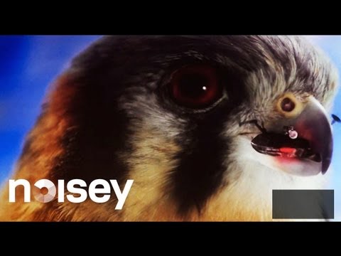 El-P - "Drone" (Official Trailer #02)