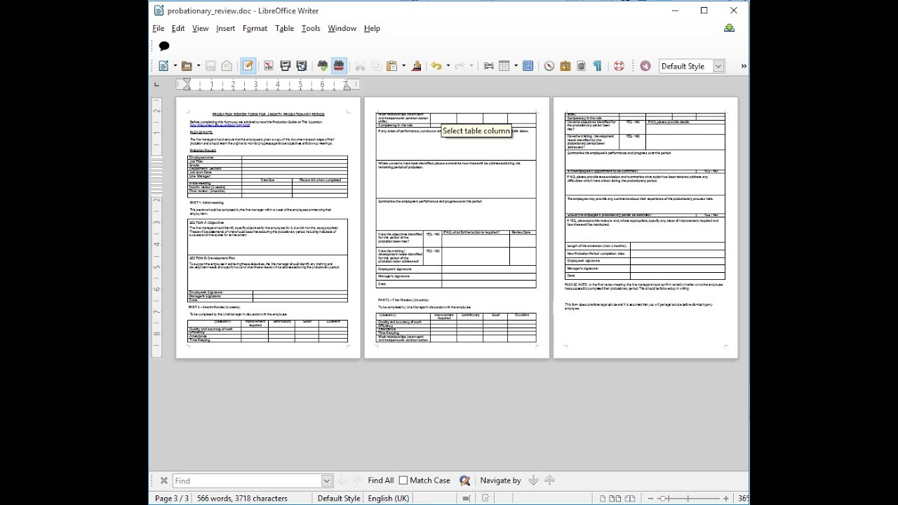 Probationary Period Review Form Thecareercafe.co.uk
