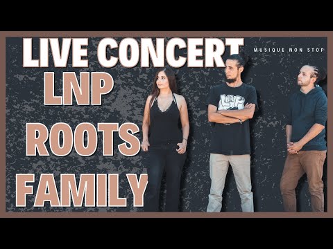 2H de concert avec @LnpRootsFamily (leurs meilleurs musiques, improvisation et cover)