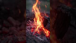 🔥 &quot;Rise of the Phoenix – A New Beginning&quot; 🔥