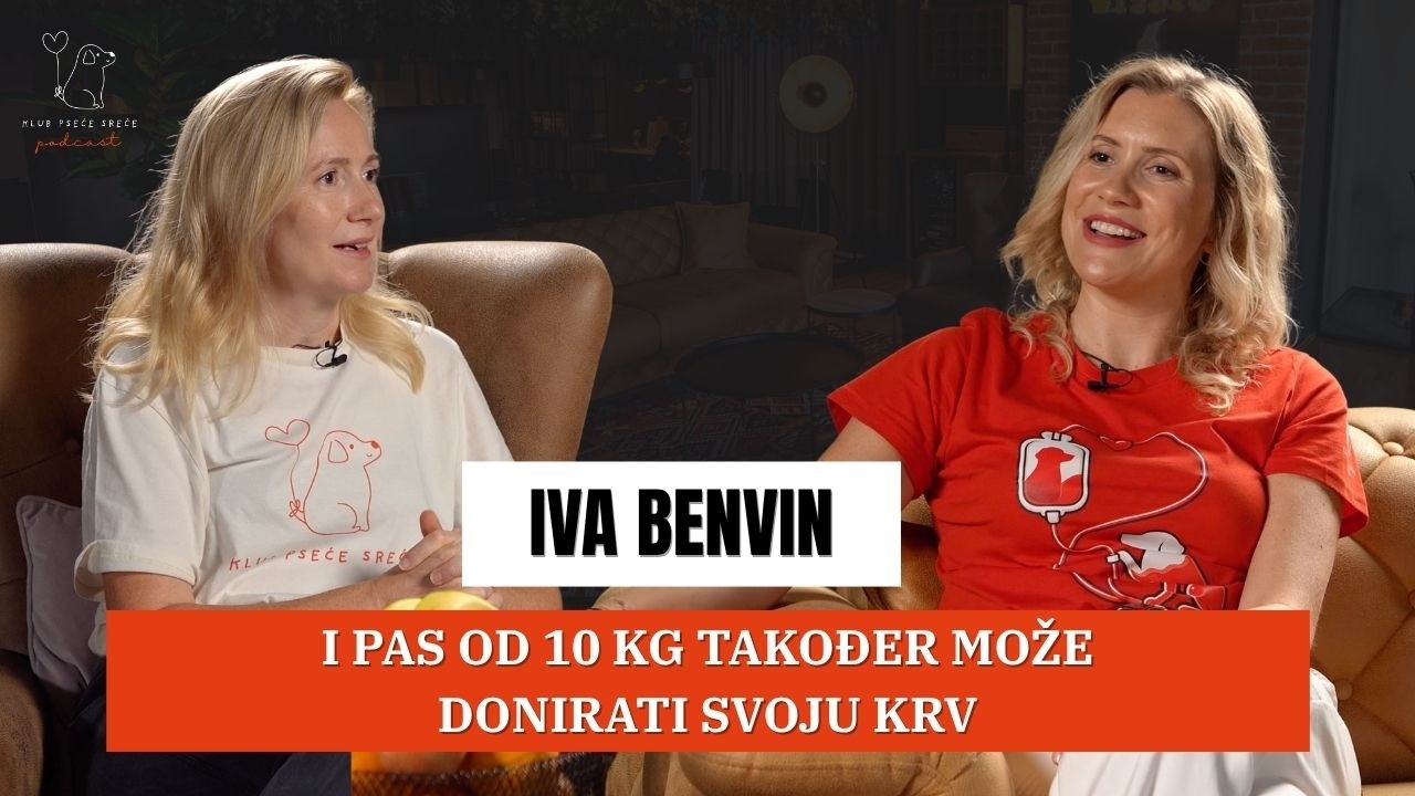 Iva Benvin: Transfuzija je uvijek hitna, zato smo osnovali Banku krvi za pse | KPS Podcast EP. 28
