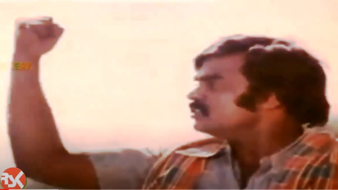 Orr Inathu Paravaigale Song Lyrics | Jadhikkoru Needhi | D. Srinivas, P. Susheela