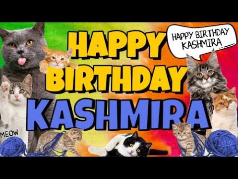 Happy Birthday Kashmira! Crazy Cats Say Happy Birthday Kashmira (Very Funny)
