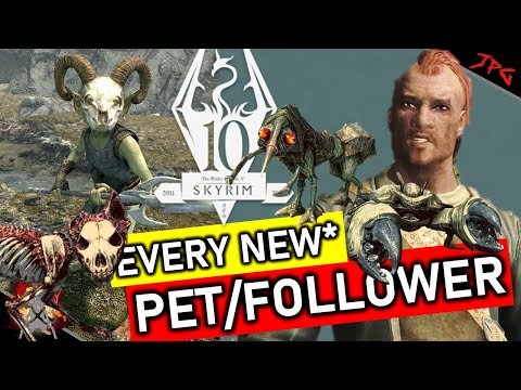 EVERY NEW* FOLLOWER AND PET IN SKYRIM - Anniversary Edition - Unique Creatures, Follower's And Pets!