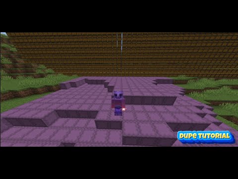 Minecraft Anarchy Duplication Exploits [ 1.12-1.19 ]