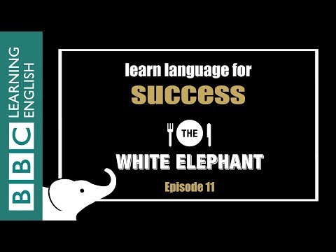 The White Elephant: 11 - Phrases about success
