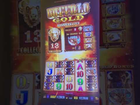 32000$$  WIN IN BUFFALO GOLD SLOT HIGH LIMIT 18$ BET $$huge jackpot$$