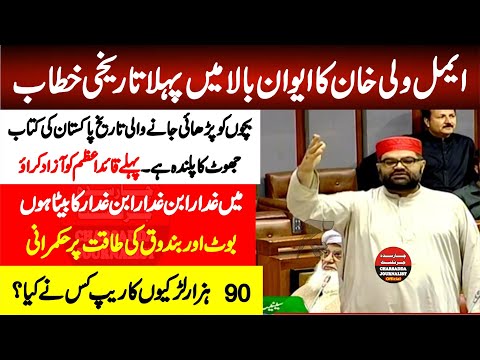 ANP Aimal Wali Khan First Speech In Senate Of Pakistan || Sensational Disclosure