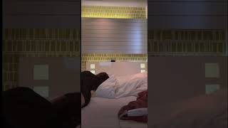 Tiktokライブ配信 モロ見え #ちらり #見えた #ハプニング