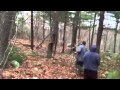 Cutting down a hollow tree 