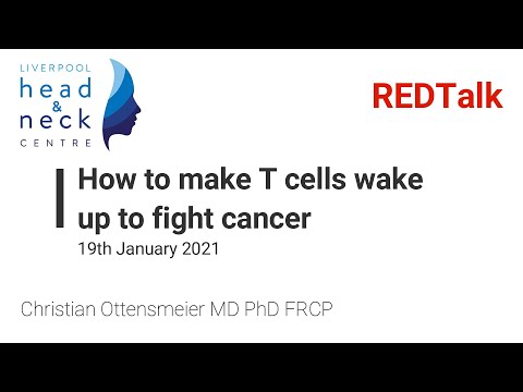 How to make T cells wake up to fight cancer