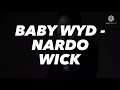 Nardo Wick - Baby WYD lyrics