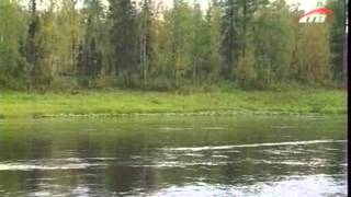 Рыбалка квест подкаменная тунгуска ленок