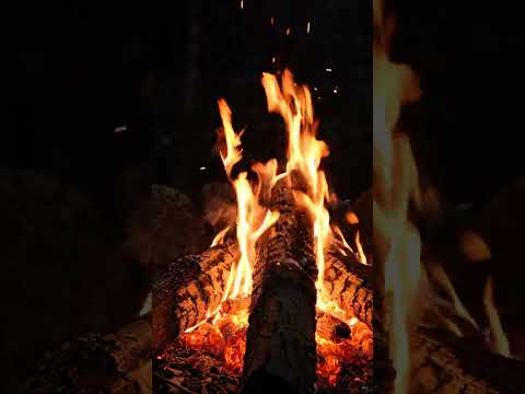 Crackling Campfire