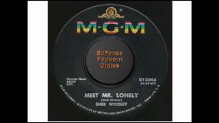 Meet Mr  Lonely   Sheb Wooley