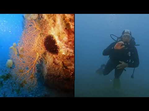 4/9/2022 Dimensione H2O asd Secca Le Rosse