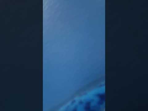 309 cobalt clipper 6107 to Newcastle