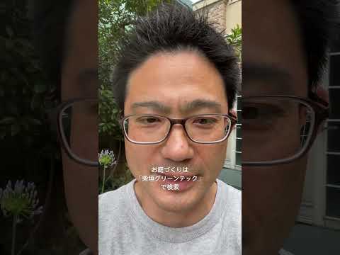 アガパンサスを成長させ、開花を促進するにはどのような肥料を使用すればよいでしょうか?  庭園