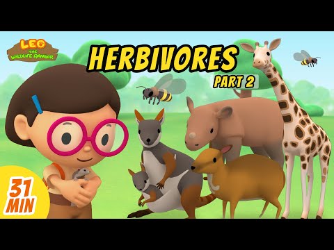 Herbivores Minisode Compilation (Part 2/2) - Leo the Wildlife Ranger | Animation | For Kids