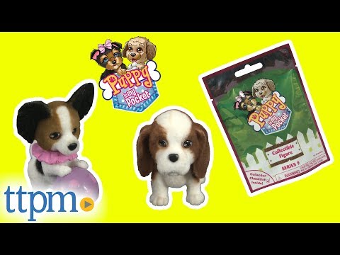 NEW Puppy in My Pocket Series 5 Blind Bag Action Figures Statues 