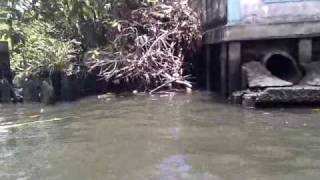 preview picture of video 'Thailand July 2010, The Khlongs of Bangkok'