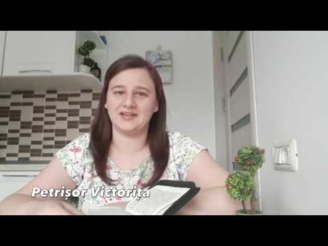 Colaj Copii Bcde Luncusoara