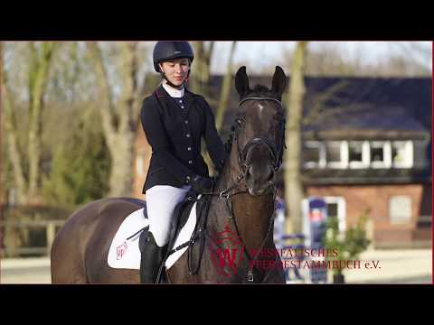 19 Double Trouble Wallach v. Diacasall - Prominenz