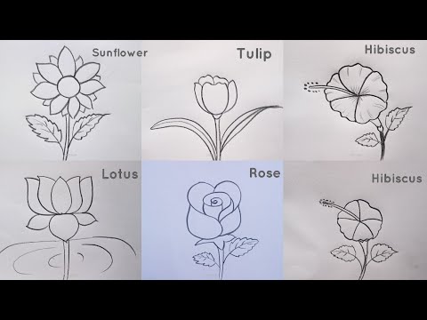 how to draw different types of flowers drawing easy step by step@Kids Drawing Talent
