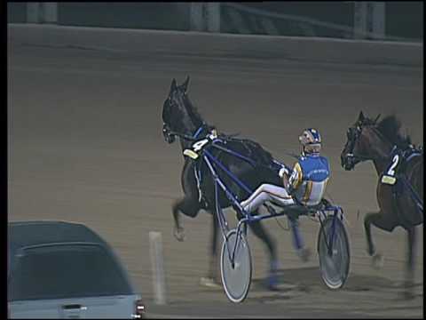 Trotto 02/07/2016 - 8° corsa - G.P. Città di Napoli