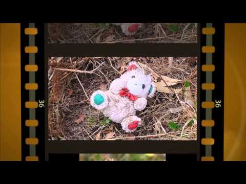 Fiz O Que Pude video