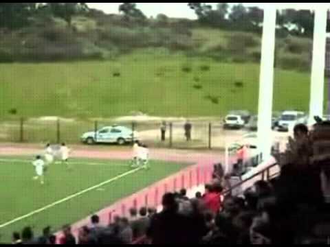 carlos vaz dvd momentos..