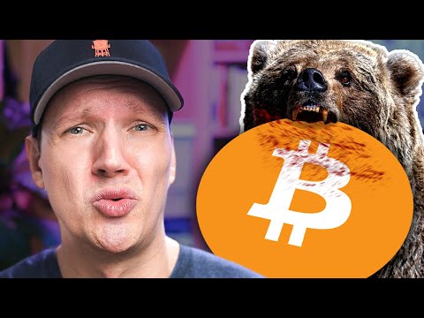 We JUST hit the bottom of the Bear Market?