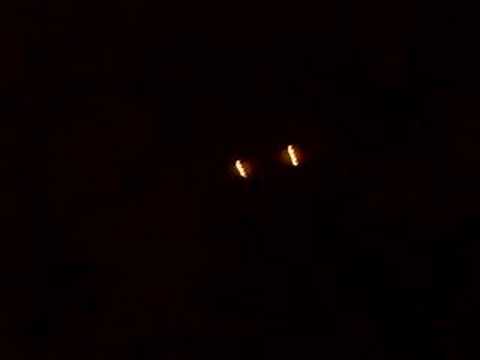 Fascher und seine Brille