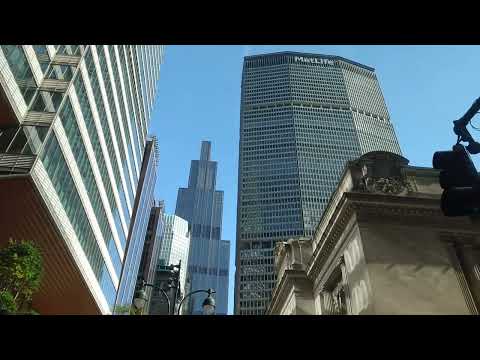 Thumbnail for Cruise Bus Accident JFK Airport 😨 Last Day Carnival Venezia 