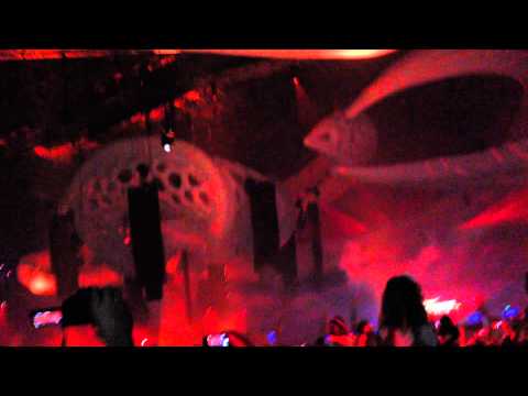 Sensation: Into the Wild Russia - Into The Wild Moment