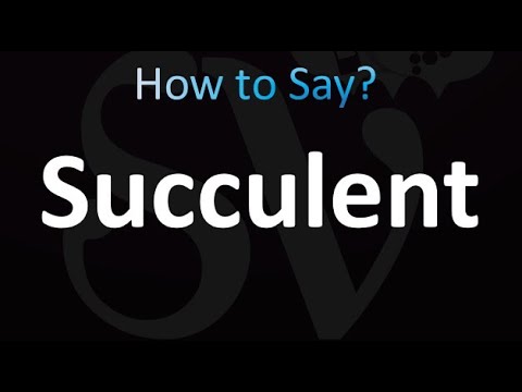 How to Pronounce Succulent (correctly!)