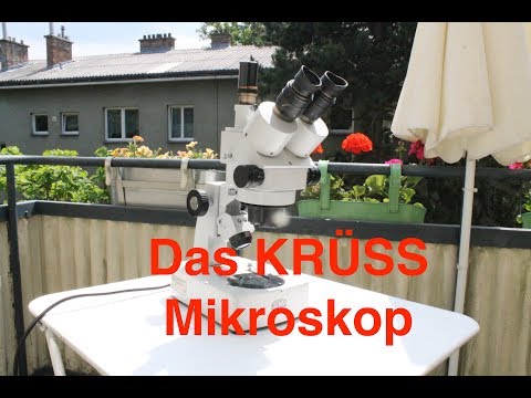 Ein Krüss Zoom Mikroskop #046