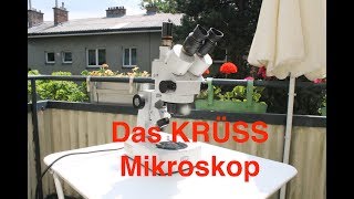 Ein Krüss Zoom Mikroskop #046