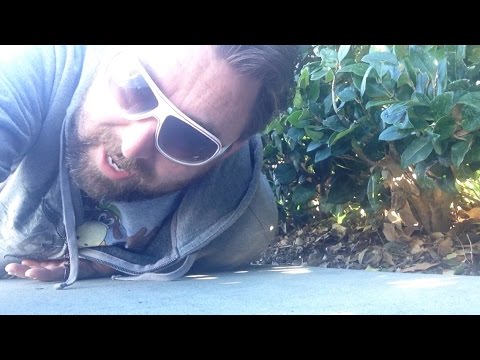 TDW 1313 - What Lies at 1313 ???