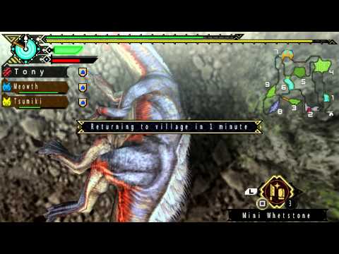 Background Noise - Monster Hunter Portable 3RD HD