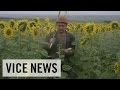 Exclusive VICE News Footage of MH17 Aftermath.