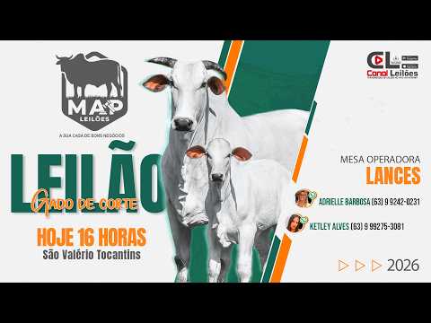 LEILÃO ESPECIAL DE  GADO DE CORTE - MAP LEILÕES | SÃO VALÉRIO-TO 29/06/2026