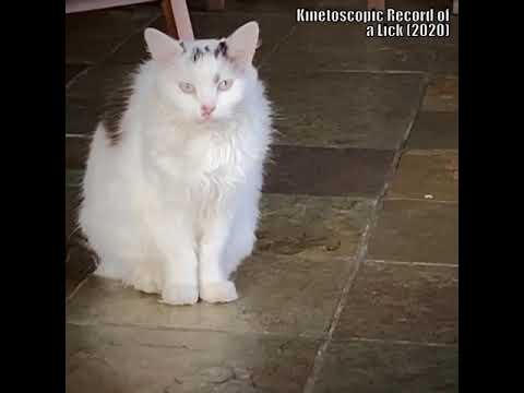 Kinetoscopic Record of a Lick (2020)