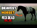 Fearless Horse In Red Dead Online Horse Bravery Tested In RDR2 Online