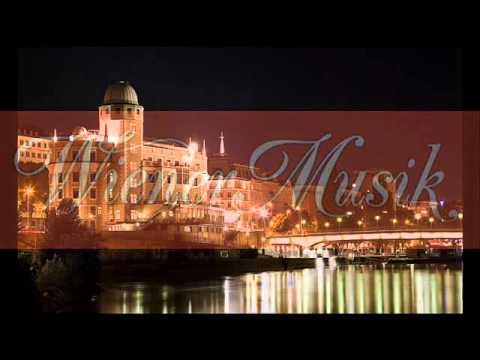 *Musik aus Wien - Mein Cafe*