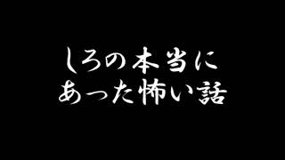 しろの本当にあった怖い話