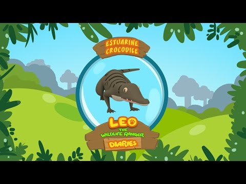 Witness21 Editor  2017 11 17