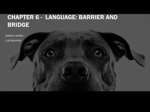 Chapter 6: Language: Bridge and Barrier